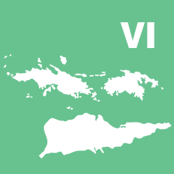 To U.S. Virgin Islands Pages